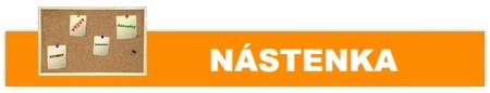 HTML5 Icon
